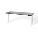 Atlas Custom Standing Computer Desk 67" - 72"