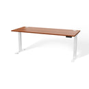 Atlas Custom Standing Computer Desk 67" - 72"