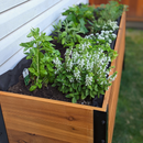 18" x 72" Planter Box - 24" TALL / Select Grade by Cedar Planters
