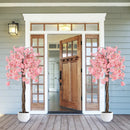 5.5 FT Tall Artificial Cherry Blossom Tree with Pink/White Flowers 2 Pack by LJGDeals