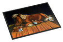 Corgi Snuggles the pony Doormat Indoor Outdoor 18H X 27W Front Door Mat Rugs for Entryway, Non Slip Washable