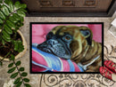 Fawn Boxer Doormat Indoor Outdoor 24H X 36W Front Door Mat Rugs for Entryway, Non Slip Washable Low Pile,