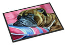 Fawn Boxer Doormat Indoor Outdoor 24H X 36W Front Door Mat Rugs for Entryway, Non Slip Washable Low Pile,