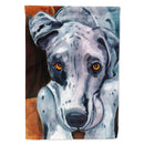 Great Dane Waiting Patiently House Flag 28x40 Porch Sleeve Pole Decorative Outside Yard Banner Artwork Wall Hanging, Polyester