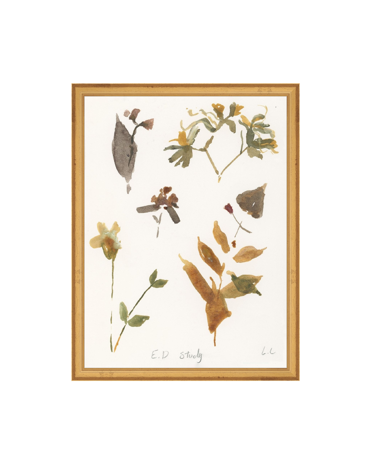 E.D Botanical Study, photo 27 of 34