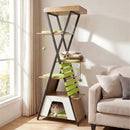 73 Inch Multi-level Cat Tree for Indoor Cats with Elevated Perch and Large Condo by LJGDeals
