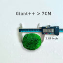 5cm-6cm-7cm Large Moss Balls Huge Giant Series: Kokedama Large Moss Ball for Betta Fish Aquarium Plants Marimo Petco