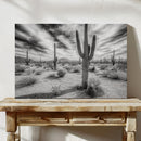 Saguaro Silence in Black and White