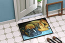 Boxer Pup Doormat Indoor Outdoor 18H X 27W Front Door Mat Rugs for Entryway, Non Slip Washable