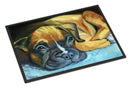 Boxer Pup Doormat Indoor Outdoor 18H X 27W Front Door Mat Rugs for Entryway, Non Slip Washable