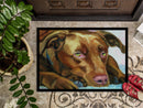 Chocolate Labrador Waiting Doormat Indoor Outdoor 18H X 27W Front Door Mat Rugs for Entryway, Non Slip Washable