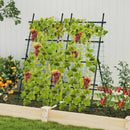 74 Inch Tall Garden Trellis for Flower Vine Vegetable Fruit Pea-Black by DirectDeals