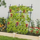 74 Inch Tall Garden Trellis for Flower Vine Vegetable Fruit Pea-Black by LJGDeals