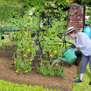 74 Inch Tall Garden Trellis for Flower Vine Vegetable Fruit Pea-Black by LJGDeals