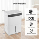 74 Pints Dehumidifier for Home 4500 Sq.Ft Dehumidifier-White by LJGDeals