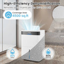 74 Pints Dehumidifier for Home 4500 Sq.Ft Dehumidifier-White by LJGDeals