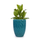 Ceramic Flowerpot, Planter For Patio, Garden, Windowsill by HouseOfZazla