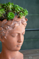 D6X9" Visage Head Bust Planter - Brown by HouseOfZazla