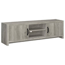 Conifer - TV Stand With Adjustable Shelves - Gray by HouseOfZazla
