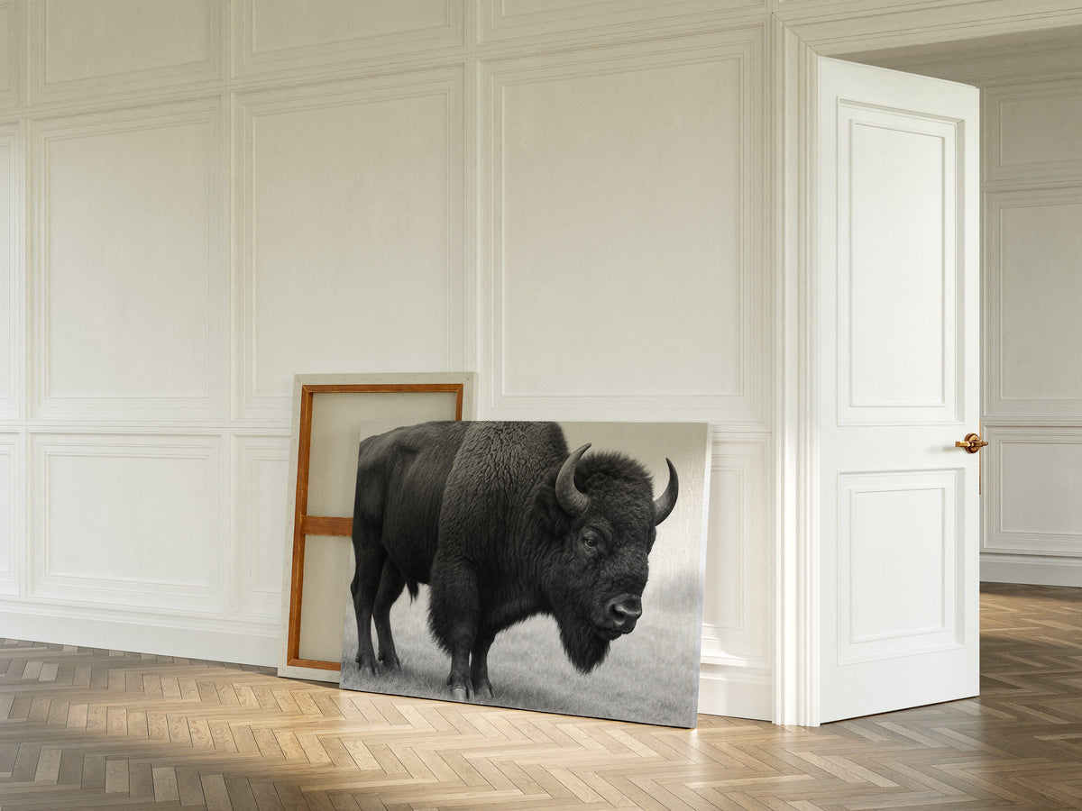 American Bison, photo 4 of 16