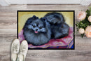 Pomeranian Doormat Indoor Outdoor 24H X 36W Front Door Mat Rugs for Entryway, Non Slip Washable Low Pile,