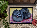 Pomeranian Doormat Indoor Outdoor 24H X 36W Front Door Mat Rugs for Entryway, Non Slip Washable Low Pile,