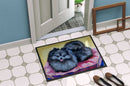 Pomeranian Doormat Indoor Outdoor 24H X 36W Front Door Mat Rugs for Entryway, Non Slip Washable Low Pile,