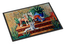 Chinese Crested  Doormat Indoor Outdoor 18H X 27W Front Door Mat Rugs for Entryway, Non Slip Washable