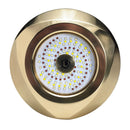 Lumitec SeaBlaze Typhoon Underwater Bronze Thru-Hull LED Light - White/Blue