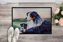 Australian Shepherd Doormat Indoor Outdoor 24H X 36W Front Door Mat Rugs for Entryway, Non Slip Washable Low Pile,