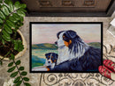 Australian Shepherd Doormat Indoor Outdoor 24H X 36W Front Door Mat Rugs for Entryway, Non Slip Washable Low Pile,