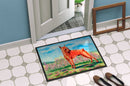 Min Pin Doormat Indoor Outdoor 18H X 27W Front Door Mat Rugs for Entryway, Non Slip Washable