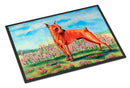 Min Pin Doormat Indoor Outdoor 18H X 27W Front Door Mat Rugs for Entryway, Non Slip Washable