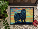 Newfoundland Doormat Indoor Outdoor 24H X 36W Front Door Mat Rugs for Entryway, Non Slip Washable Low Pile,