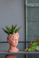 D6X9" Visage Head Bust Planter - Brown by HouseOfZazla