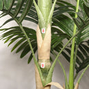 6FT Artificial Palm Tree with Realistic Detail by HouseOfZazla