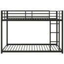 Metal Bunk Bed, Low Bunk Bed With Ladder by HouseOfZazla