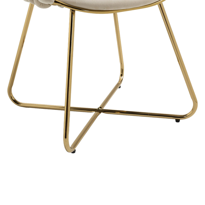 Accent Chairs Set of 2, Velvet Side Chairs with Gold Legs, Mid-Century Upholstered Dining Chairs for Living Room, Kitchen, Bedroom, Beauty Room