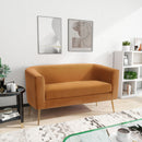 Modern Elegant Design Style Loveseat by HouseOfZazla