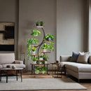 8 Tier Indoor Plant Stand With Grow Lights, S Shaped Metal Shelf For Multiple Plants - Black / Dark Walnut by HouseOfZazla