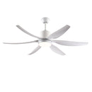 6 PCS ABS Blades 56" Ceiling Fan With Light Kit by HouseOfZazla