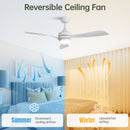 Ceiling Fan With 3 Blades, Remote Control, Reversible DC Motor, Noiseless Operation, 3 Downrods by HouseOfZazla
