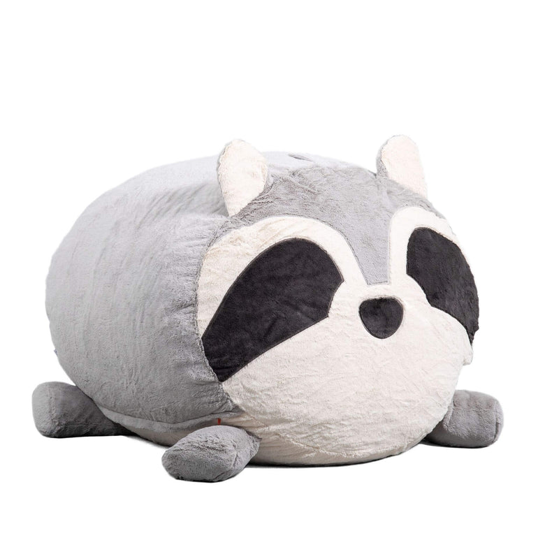 Wild Things Rocky Raccoon