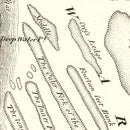 Vintage Map of Delaware 1814