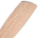 52 in. Indoor Ceiling Fan by HouseOfZazla