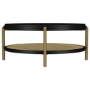 Arini Round Coffee Table With Storage Shelf Black