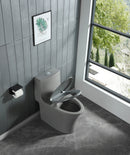 15 1/8 Inch 1.1/1.6 GPF Dual Flush 1-Piece Elongated Toilet with Soft-Close Seat - Light Grey