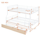 Contemporary Bunk Bed by HouseOfZazla