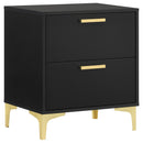2 Drawer Rectangular Nightstand - Black by HouseOfZazla