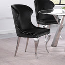 Daphne - Upholstered Dining Side Chair (Set of 2) by HouseOfZazla